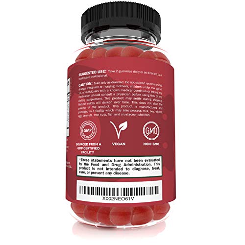 Usda Organic Apple Cider Vinegar Gummies With The Mother – Organic Acv Gummies To Support Overall Wellness – Certified Organic, Non-Gmo & Vegan - 60 Apple Cider Vinegar Gummies #TOP2