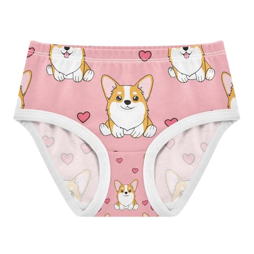 Cute Corgis Heart Toddler Girls's Underwear 2T 202c1283