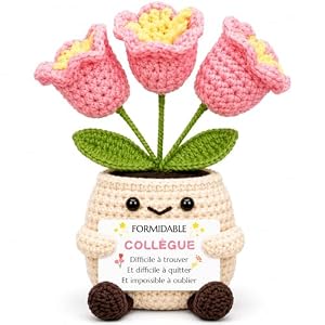 Cadeau collègue