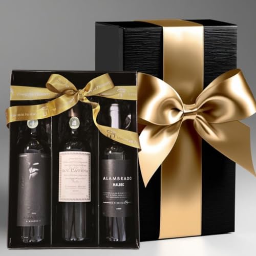 Kit de Presente com Vinhos Argentinos Alma de Malbec Presente Amigo Aniversário Homem
