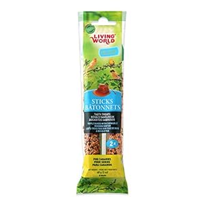 Living World 80680 Canary Honey Treat Sticks, 60g (Pack of 1)
