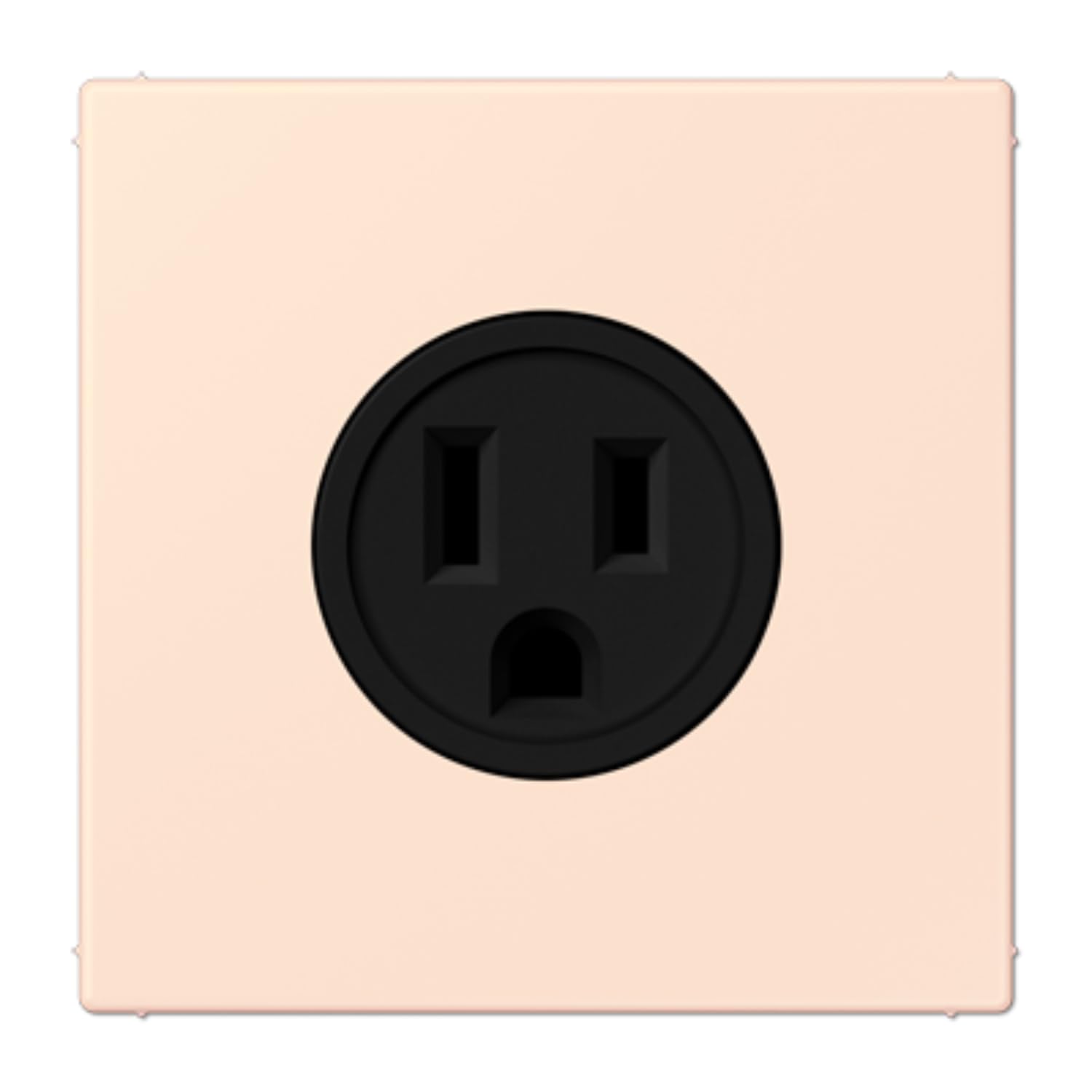 Prise US-NEMA LC32082 JUNG LC521-15226 connecteur alimentation standard americain