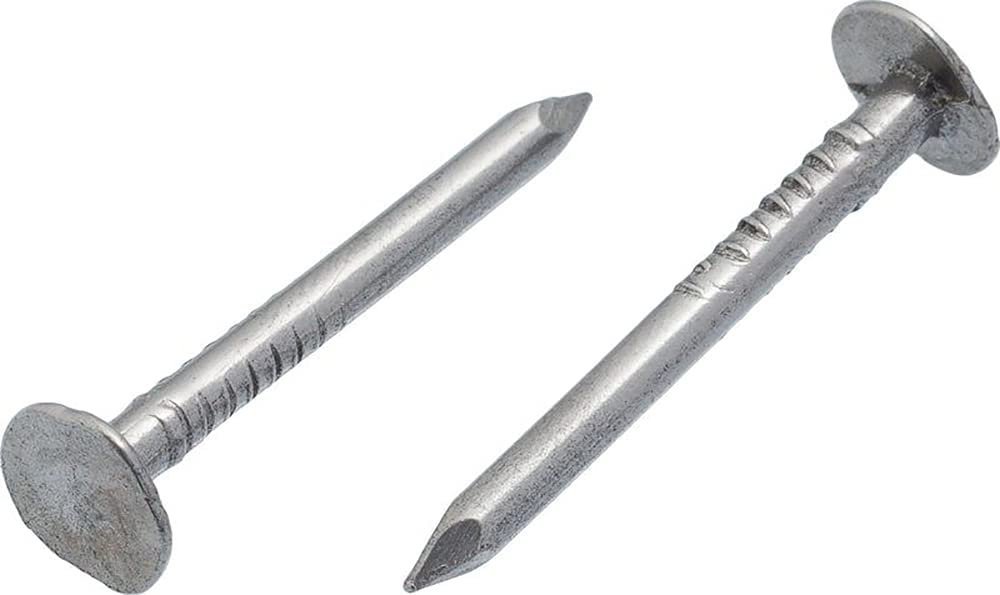 3mm x 35mm Steel Roof Nails Large Head Felt Clout Felt Tacks (Pack of 100) C10E/1