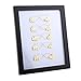 Produktbild Injoyo Falsche Wimpern Wimper Display Fotorahmen Bilderrahmen Design - F