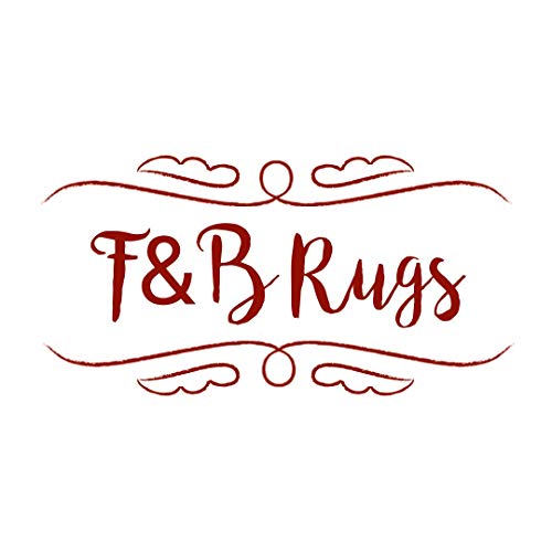 Image of F & B Rugs Luxurious Luck high Density Thick & Soft Shaggy Carpet Microfiber 2 Inch Pile Height Modern 4x6 feet 120 x 180 cm