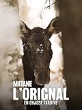 chasse nature et tradition  Matane, l\'orignal en chasse tardive