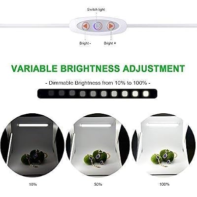 zecti light box