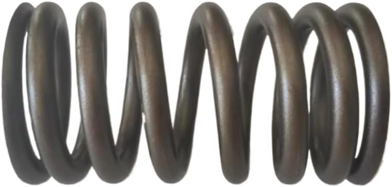 6-Piece 3926700 Intake Valve Spring
