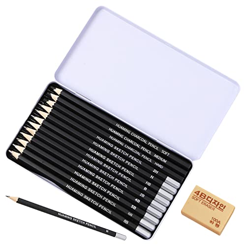 12 lápices en una caja con 1 goma de borrar, lápices de grafito profesionales para bocetos, 2H, H, HB, B, 2B, 4B, 5B, 6B, 8B, suave, medio, duro para principiantes, artistas