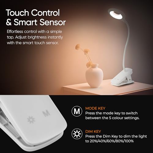 Lampe de bureau rechargeable avec pince pour lecture nocturne