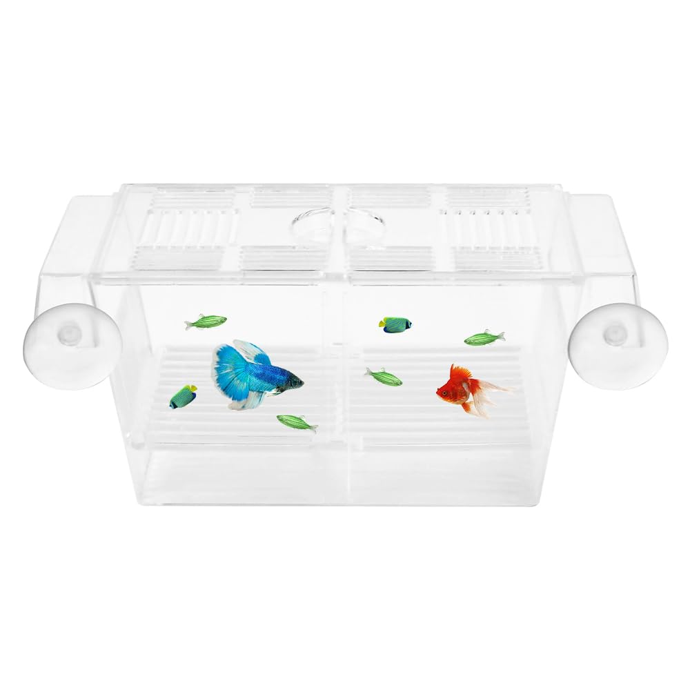 Scatola di Allevamento per Pesci o Acquario Box Isolamento in Acrilico per Pesci Scatola di Isolamento per Acquario per Pesce，con 5 Ventose, per Proteggere gli Avannotti, 23x9.8x9.5cm