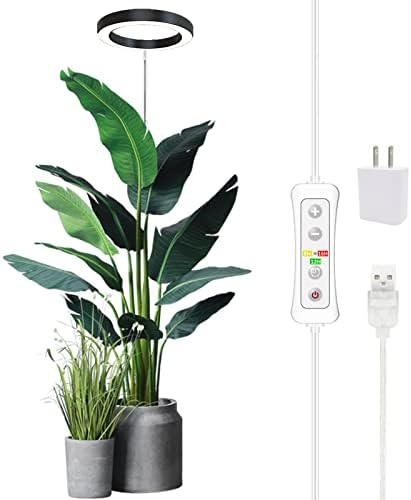 Bseah 6000K Full Spectrum LED Grow Light For Indoor Plants - Auto Timer, 10 Dimming, Gooseneck For Succulents & Seedlings