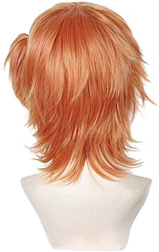 Amazon.co.jp: コスプレウィッグ ネット付き ショート 原宿系 耐熱