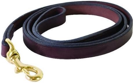 Perri's Plain Leather Dog Leash, 3/4-Inch x 5-Feet