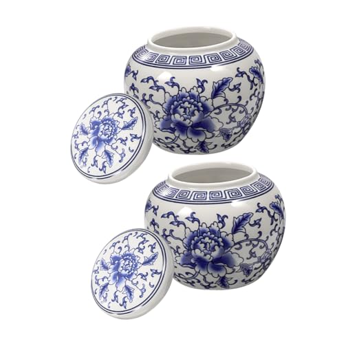 CONGARTENO 2pcs Traditional Blue White Porcelain Tea Tins Airtight Tea Jars for Dried Fruits