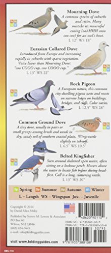 Sibley's Backyard Birds of the Southeast (Foldingguides) - Image 2