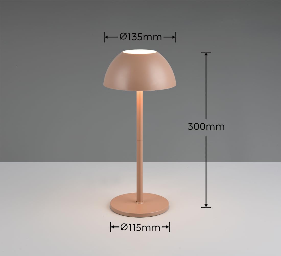 Reality Leuchten Ricardo R54106165 - Lampada da tavolo a LED per esterni, in plastica, con LED da 1,7 Watt, 4 ingressi touch