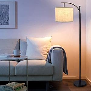 DLLT Modern Arc Floor Lamp, Farmhouse Standing Floor Lamps with Lantern Lampshade, Industrial Tall Reading Light for Bedroom/Living Room/Office/Study, 3000K Warm White Light, Bulb Included
