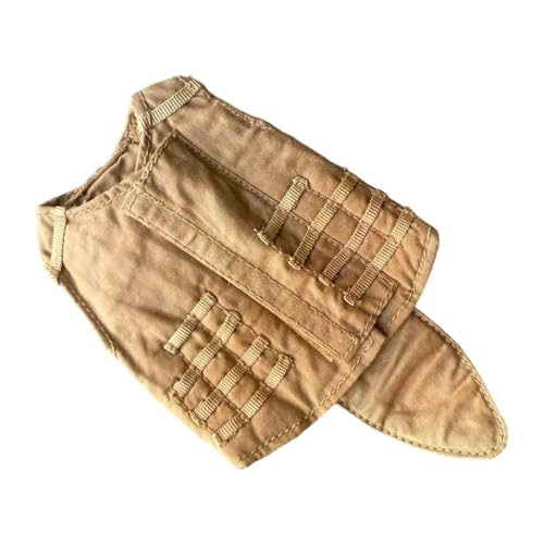 �g������������ 1/6�X�P�[���A�N�V�����t�B�M���A�p�~�j�`���A�ߑ��A�A�N�Z�T���[