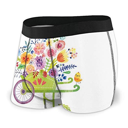 Men's Boxer Briefs,Wheelbarrow Full of Flowers Botanical Gardening Plants Agriculture Watercolor Art,XL