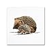 Hedgehog by The Macneil Studio, 14x14-Inch Canvas Wall Art
