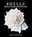 Shells: Nature's Exquisite Creations