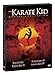 Produktbild The Karate Kid Collection - 4-DVD Box Set ( The Karate Kid / The Karate Kid Part II / The Karate Kid Part III / The Next Karate Kid )