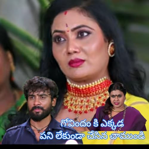 Geetha Govindam serial today episode