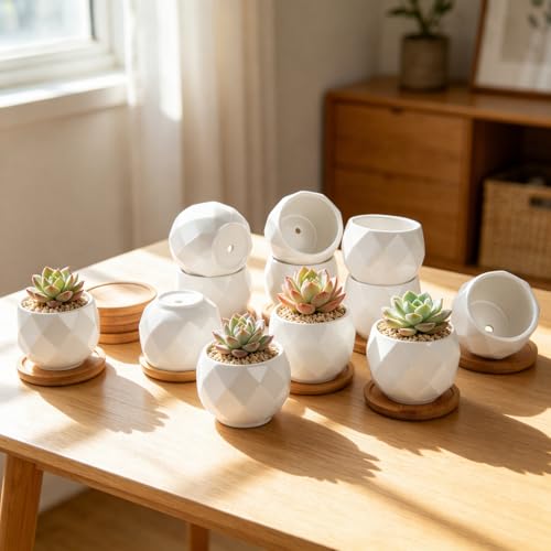 Top 10  planter pots for succulents -Buying Guide