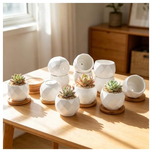 ZOUTOG Succulent Plant Pot 12 Pack, 2.5 inch Square Pattern Ceramic Planters with Bamboo Tray, Small Succulent Pots for Indoor Plants, White Office Desk Decor (Seeds＆ Plants Not Included)