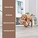 TRIXIE Geier Plüschtier Gustav - Hundespielzeug aus weichem Stoff - Plüschvogel für große & kleine Hunde - 28 cm groß - 35912