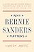 Why Bernie Sanders Matters