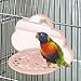 Bothyi Bird Perch Stand with Mirror Bird Cage Stand Toy Easy to Clean Creative Birdcage Perches Mirror Chewing Toy for Finch