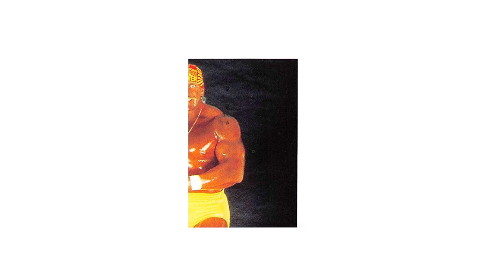 1991 WWF Superstars シール アルバム 新品未開封 1991 WWF Superstars シール アルバム 新品未開封 Vintage 1991