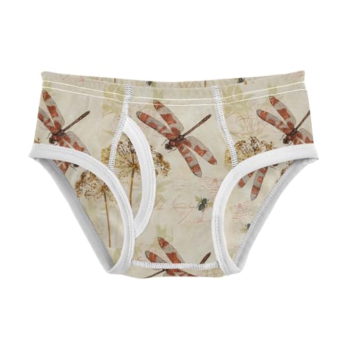 Boys' Exclusive Briefs Toddler Underwear 95% Combed Cotton Boxerbriefs 2T Dragonfly and Wildflower 17