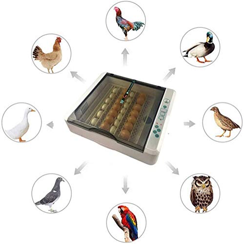 ZFF 36 Egg Incubator With Light Automatic Egg Turning Humidity Temperature Control Poultry Hatcher For Quail Chicken Duck Goose Pigeon Bird
