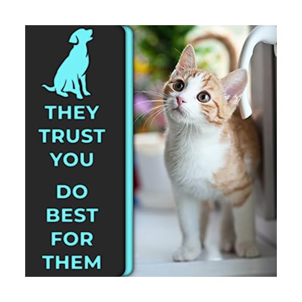 HH-Pets-Nail-Clippers-Series-for-Cats-and-Dogs-Razor-Sharp-Blades-Sturdy-Non-Slip-Handles-Dog-Accessories-Professional-at-Home-Grooming-Stainless-Steel-Dog-Nail-Trimmers-XS-Cats-Birds Keep Your Furry Friends Looking Purr-fect with H&H Pets Nail Clippers