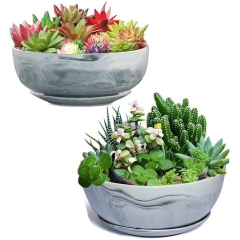 G EPGardening 8 and 10 Inch Large Succulent Planter Pot Round Marble Pattern Modern Planter Flower Pot Indoor Cover