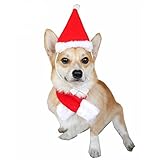 Visky Cute Santa Pet Hat with Scarf Christmas Costume for Cat Dog Rabbit--S