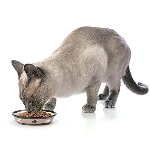 Petrageous 10070 Oval City Pets Stoneware Cat Bowl 6.25-Inch Wide And 1.5-Inch Tall Saucer With 1-Cup Capacity And Dishwasher And Microwave Safe Is Great For Cats, Black And Brown #TOP6