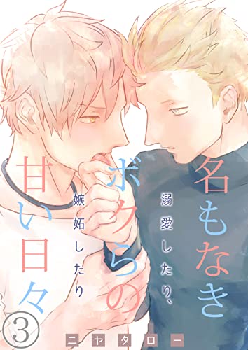 名もなきボクらの甘い日々~溺愛したり、嫉妬したり~ 3巻 (ア・ラ・モード・ボーイ)