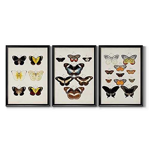 Wall Décor, Dining Wall Art, Neutral, MultiColor, Art Deco, Italian,