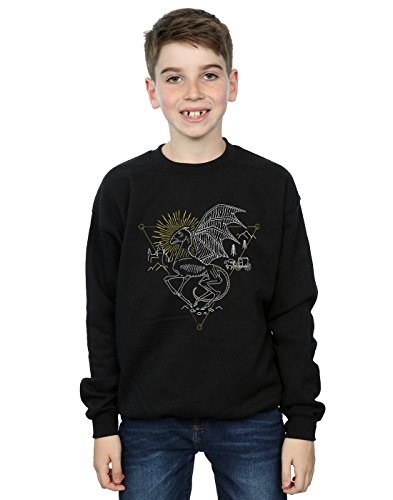 Harry Potter Boys Thestral Line Art Sweatshirt Black 9-11 Years