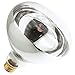 Industrial Performance 250R40/CL 240V, 250 Watt, BR40, Medium Screw (E26) Base Light Bulb (1 Bulb)