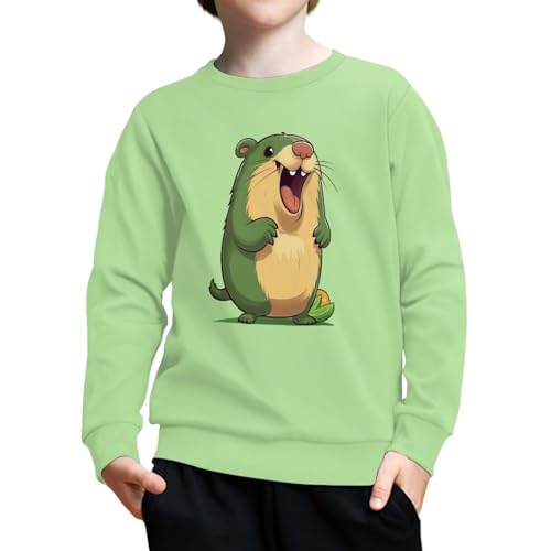 Kids Toddler Boys Sweatshirt Hoodie Clothes Fall Winter Long Sleeve Shirt Top Sweater Clothing Outfit