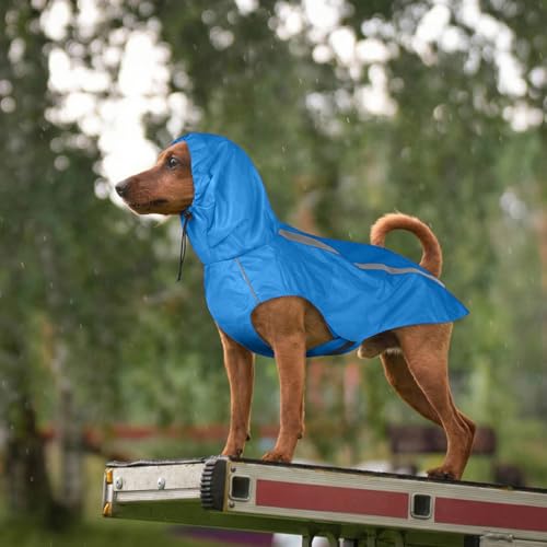 Impermeable para perro con capucha y reflectante para proteger a tu gran compañero del frío 8