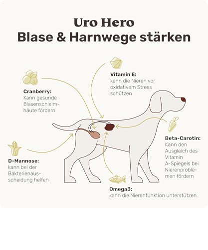 5-in-1 Blasen- & Nierenfutter für Hunde - URO Hero 120 Snacks (350g) von mammaly - Kann bei Blasenschwäche, Inkontinenz und Nierenprobleme unterstützen - mit Cranberry, Vitamin E, Beta-Carotin