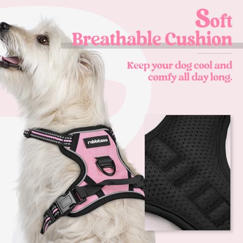 Image of rabbitgoo Dog Harness No Pull with 2 Leash Clips, Adjustable Soft Padded, Reflective Oxford No Choke Pet Vest with Easy Control Handle for Puppy, Pink, XS