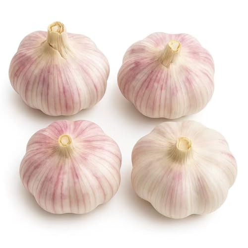 Gourmet Red Garlic Bulbs Hard Neck - 4 Bulbs - Garlic to Plant for Fall Planting - Non-GMO Organic Grown