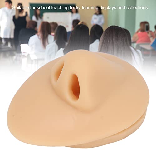 Modèle de nez en silicone outil enseignement acupuncture flexible - 2